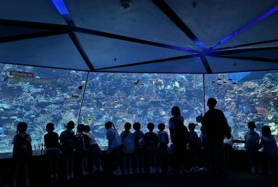 Image-2024-05-25-at-9.14.38-AM-1